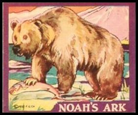 R100 Alaskan Brown Bears.jpg